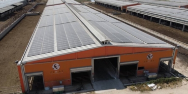 voltaenerji (1)