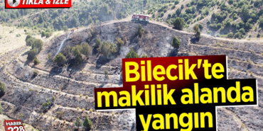 yangın