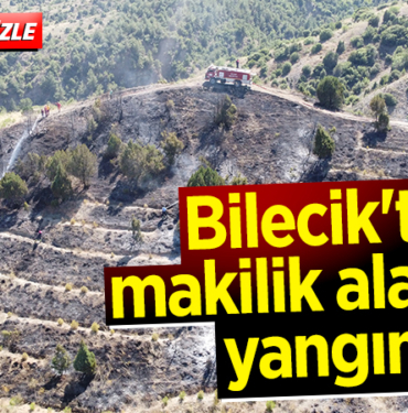 yangın