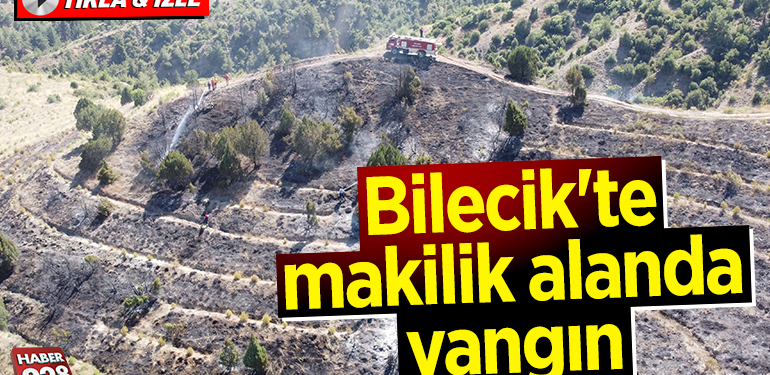 Bilecik’te makilik alanda çıkan yangın kontrol altına alındı