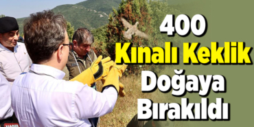 400 kınalı keklik doğaya bırakıldı