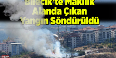 Bilecik makilik alanda çıkan yangın söndürüldü