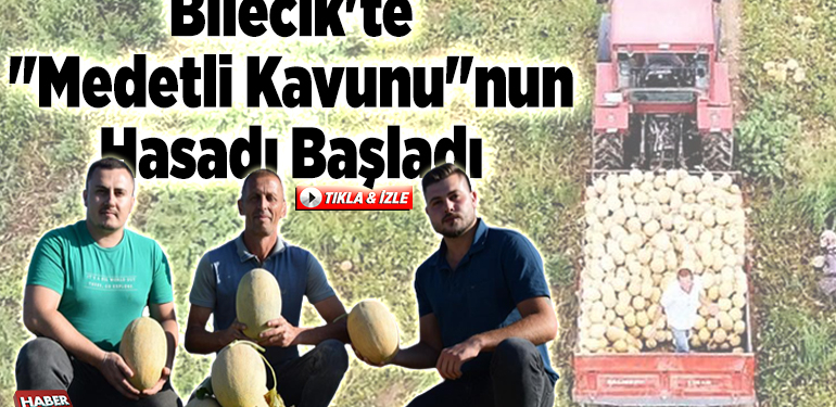 Bilecik’te “Medetli kavunu”nun hasadı başladı