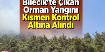 Bilecik'te çıkan orman yangını kısmen kontrol altına alındı