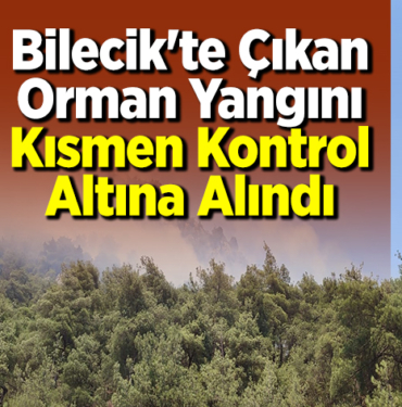 Bilecik'te çıkan orman yangını kısmen kontrol altına alındı