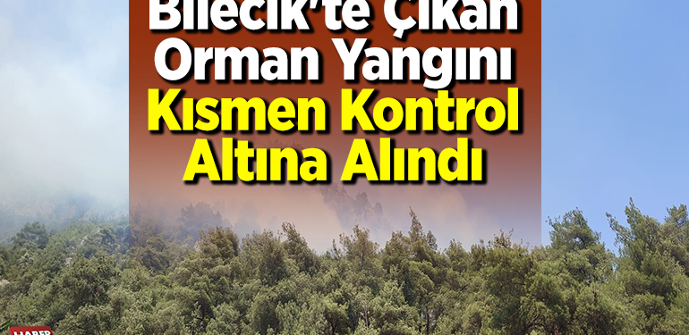 Bilecik’te çıkan orman yangını kısmen kontrol altına alındı