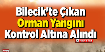 Bilecik'te çıkan orman yangını kontrol altına alındı