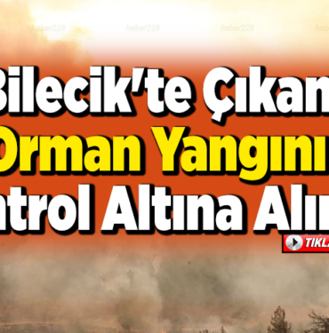 Bilecik'te çıkan orman yangını kontrol altına alındı