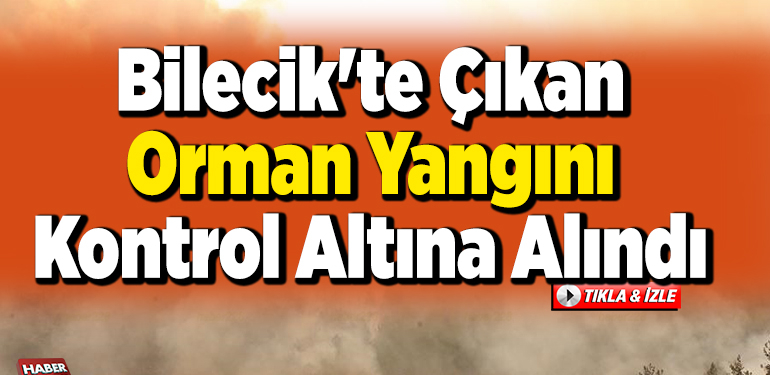 Bilecik’te çıkan orman yangını kontrol altına alındı