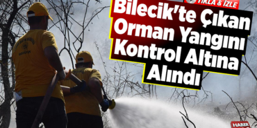 Bilecik'te çıkan orman yangını kontrol altına alındı