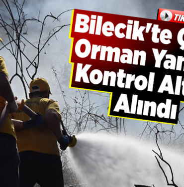 Bilecik'te çıkan orman yangını kontrol altına alındı