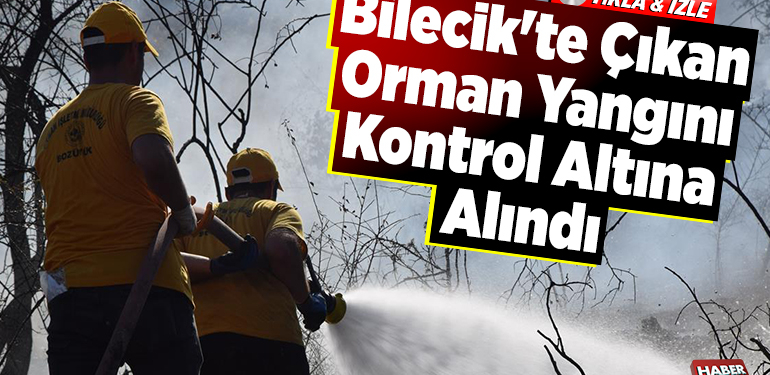 Bilecik’te çıkan orman yangını kontrol altına alındı