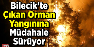 Bilecik'te çıkan orman yangınına müdahale sürüyor