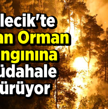 Bilecik'te çıkan orman yangınına müdahale sürüyor