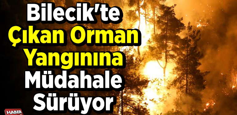 Bilecik’te çıkan orman yangınına müdahale sürüyor