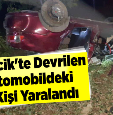 Bilecik'te devrilen otomobildeki 4 kişi yaralandı