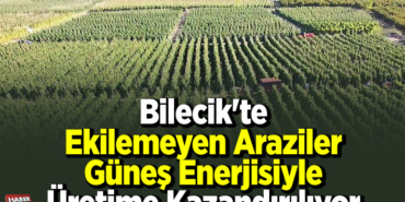 Bilecik'te ekilemeyen araziler güneş enerjisiyle üretime kazandırılıyor