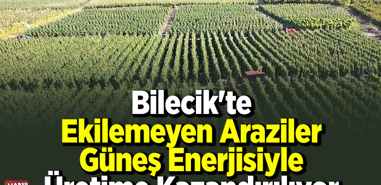 Bilecik’te ekilemeyen araziler güneş enerjisiyle üretime kazandırılıyor