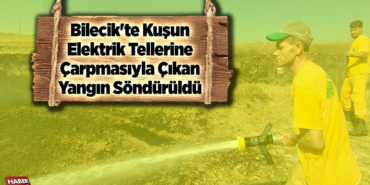 Bilecik'te kuşun elektrik tellerine çarpmasıyla çıkan yangın söndürüldü