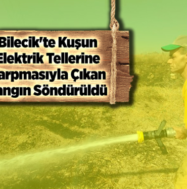 Bilecik'te kuşun elektrik tellerine çarpmasıyla çıkan yangın söndürüldü