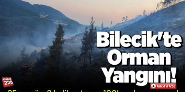 Bilecik'te orman yangını