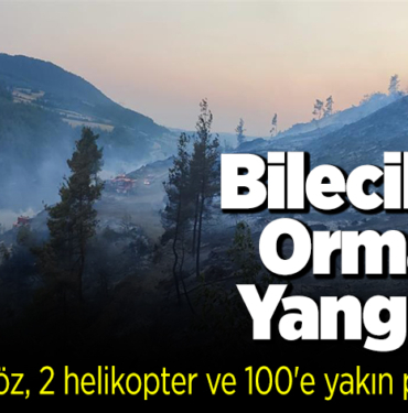 Bilecik'te orman yangını