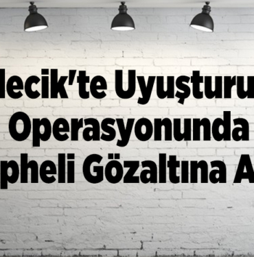 Bilecik'te uyuşturucu operasyonunda 9 şüpheli gözaltına alındı