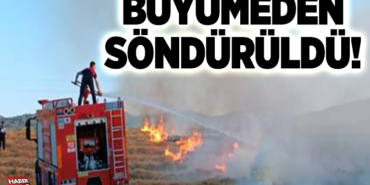 Büyümeden söndürüldü!