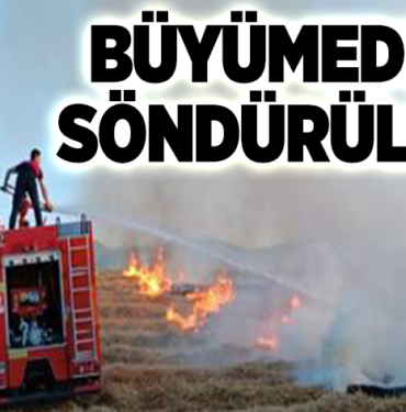 Büyümeden söndürüldü!