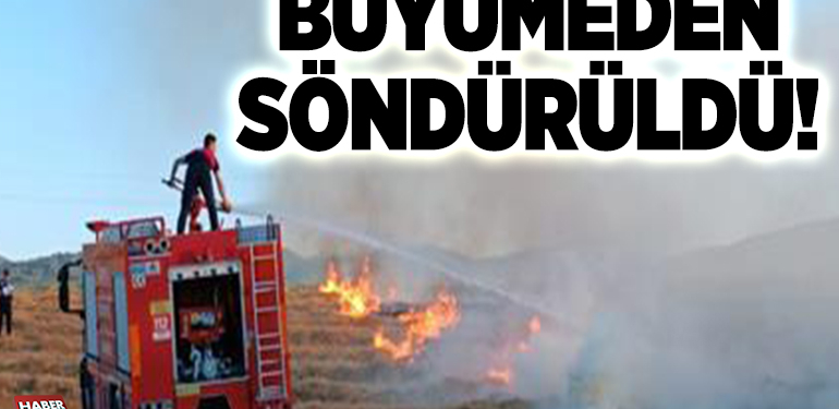 Büyümeden söndürüldü!