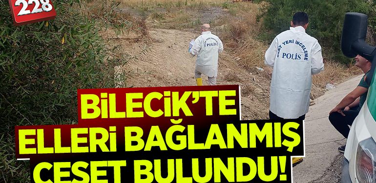 Bilecik’te ormanlık alanda elleri bağlanmış erkek cesedi bulundu