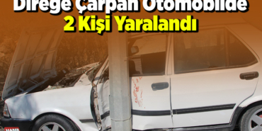 Direğe Çarpan Otomobilde 2 Kişi Yaralandı
