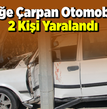 Direğe Çarpan Otomobilde 2 Kişi Yaralandı