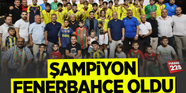 FENER