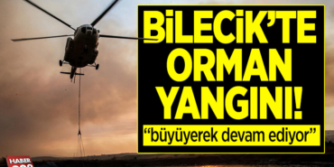 ORMAN YANGINI