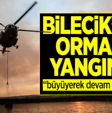 ORMAN YANGINI