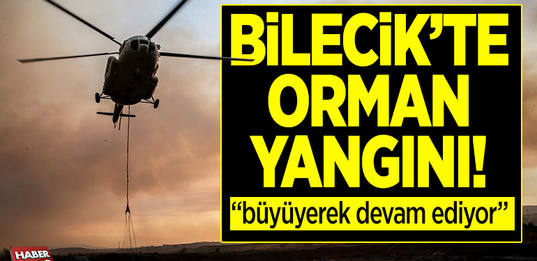 Bilecik’te orman yangını (büyüyerek devam ediyor)