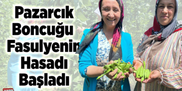 Pazarcık boncuğu fasulyenin hasadı başladı
