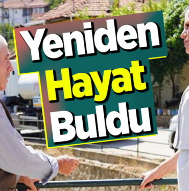 Yeniden hayat buldu