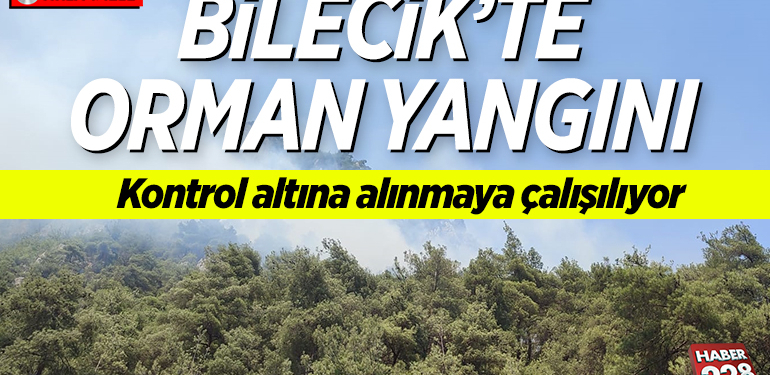 Bilecik’te çıkan orman yangınına müdahale ediliyor