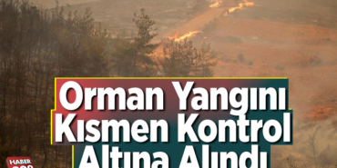 orman yangını kısmen kontrol altına alındı