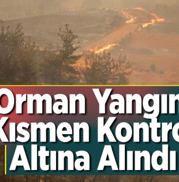 orman yangını kısmen kontrol altına alındı
