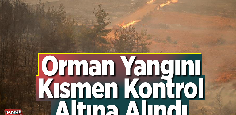 Orman yangını kısmen kontrol altına alındı