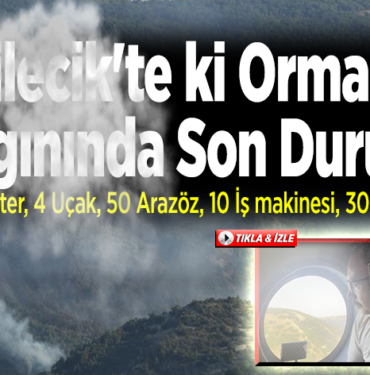 orman yangınında son durum