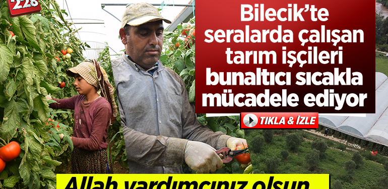 Bilecik’te seralarda çalışan tarım işçileri bunaltıcı sıcakla mücadele ediyor