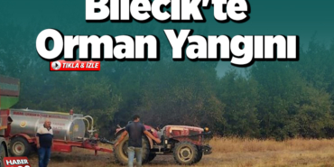 Bilecik'te orman yangını