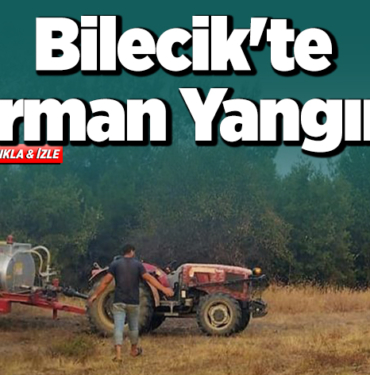 Bilecik'te orman yangını