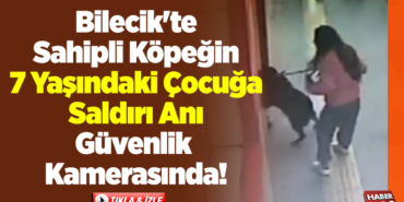 Bilecik'te sahipli köpeğin, 7 yaşındaki çocuğa saldırı anı güvenlik kamerasında