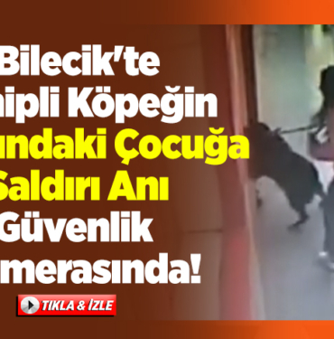 Bilecik'te sahipli köpeğin, 7 yaşındaki çocuğa saldırı anı güvenlik kamerasında
