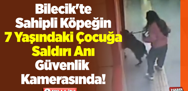 Bilecik’te sahipli köpeğin, 7 yaşındaki çocuğa saldırı anı güvenlik kamerasında